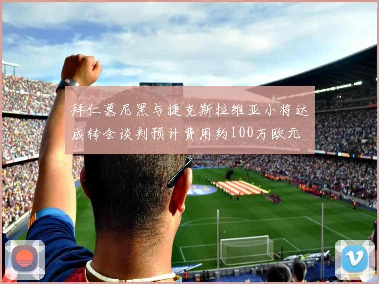 拜仁慕尼黑与捷克斯拉维亚小将达成转会谈判预计费用约100万欧元