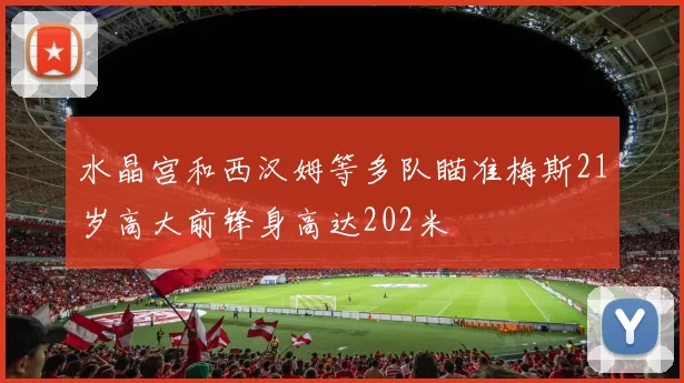 水晶宫和西汉姆等多队瞄准梅斯21岁高大前锋身高达202米